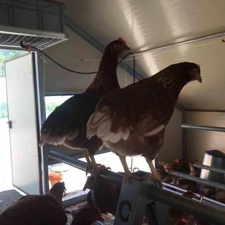 La Ferme De