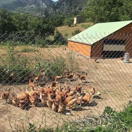 Camping La Ferme De Castellane