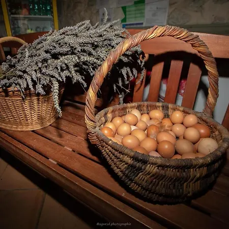 La Ferme De 3* Castellane